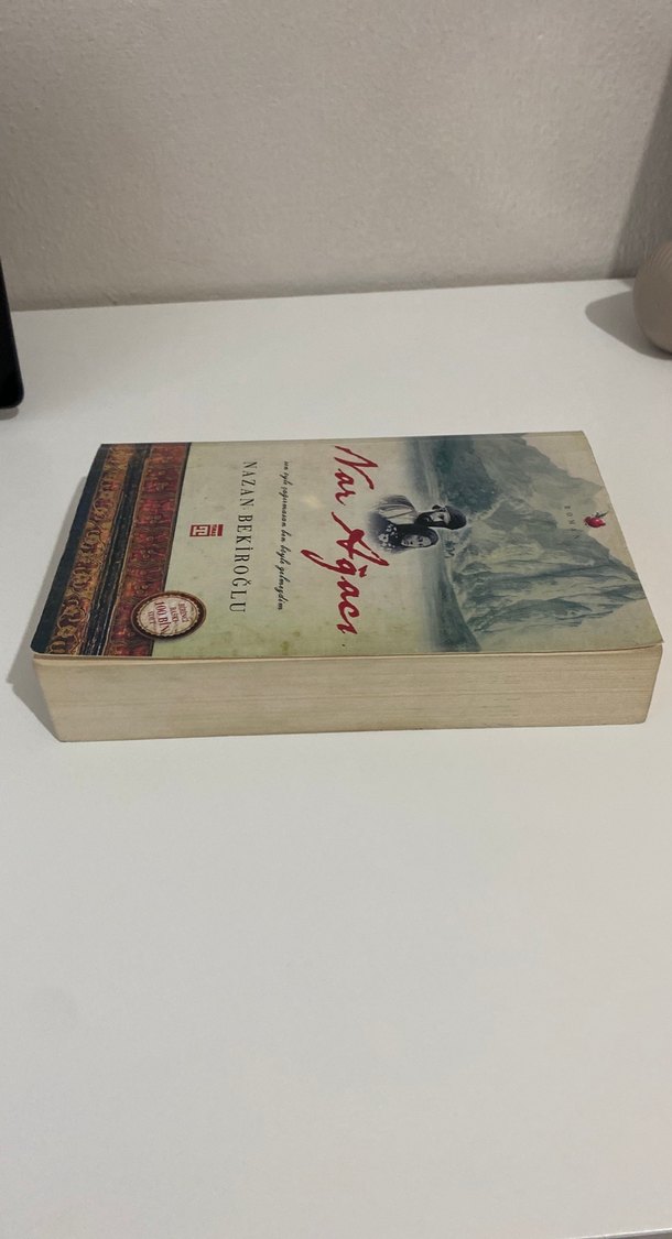 Nar Ağacı - Nazan Bekiroğlu - Görsel 3