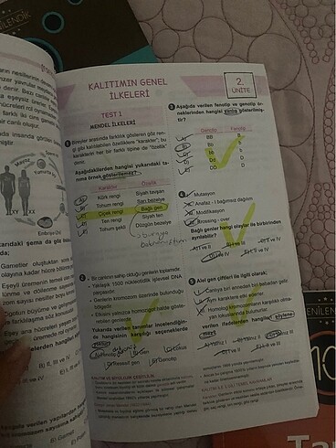  Beden 10. Sınıf 5 Test Kitabı