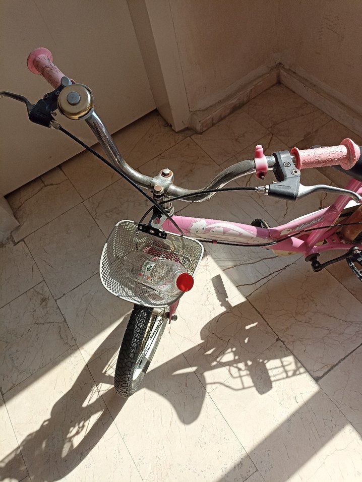 Pembe Renkli iki Tekerlekli Bisiklet - Görsel 2