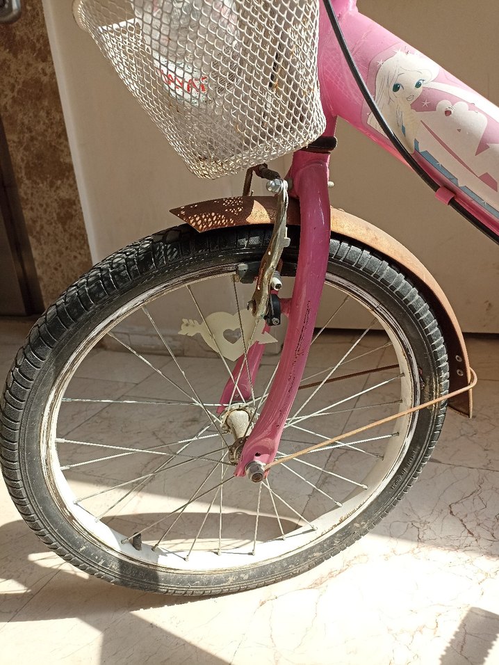 Pembe Renkli iki Tekerlekli Bisiklet - Görsel 4