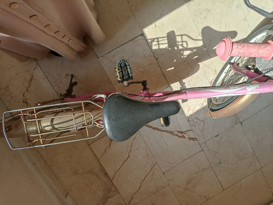 Pembe Renkli iki Tekerlekli Bisiklet - Görsel 5