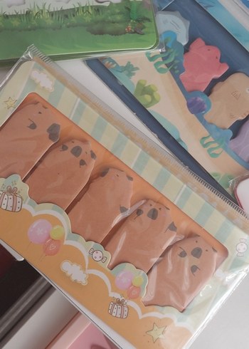 Renkli Çocuk Yapışkan Notlar Seti - Görsel 3