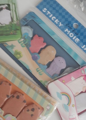 Renkli Çocuk Yapışkan Notlar Seti - Görsel 4