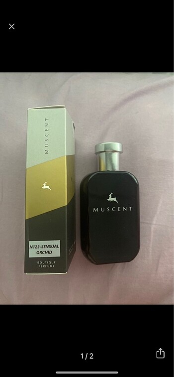 muacent sensual orchid