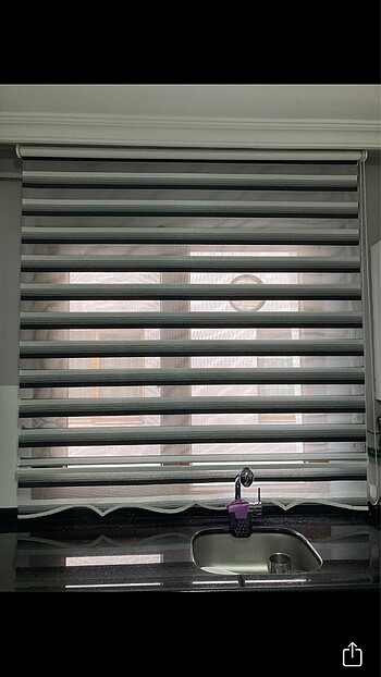 Beden Zebra stor