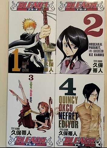 bleach anime manga