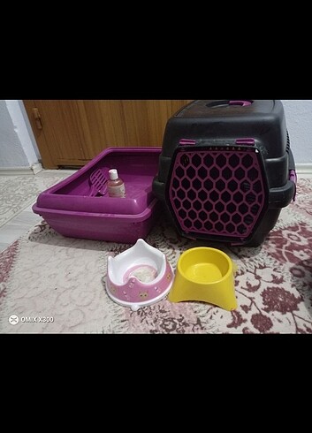 Kedi Çantası