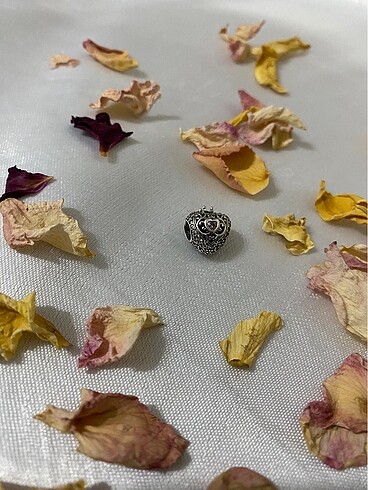 Pandora pandora charm