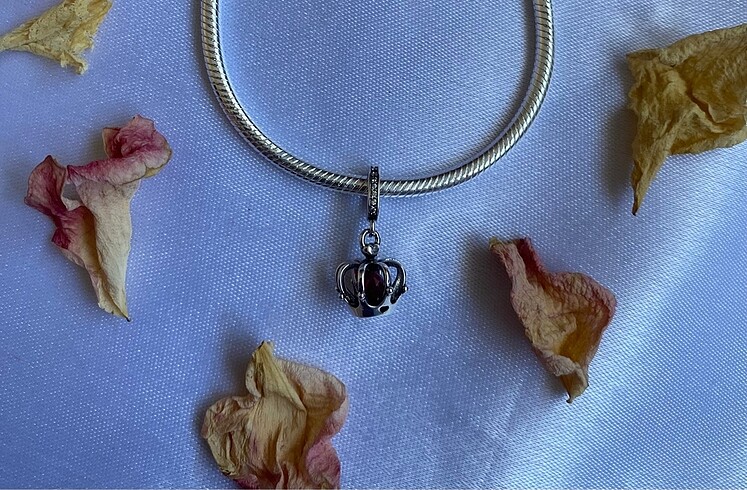 Pandora pandora charm