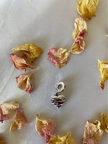 Pandora Pandora Charm