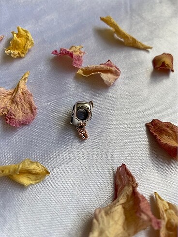  Beden Pandora Charm