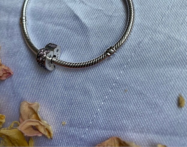 Pandora pandora charm