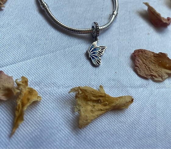 Pandora pandora charm