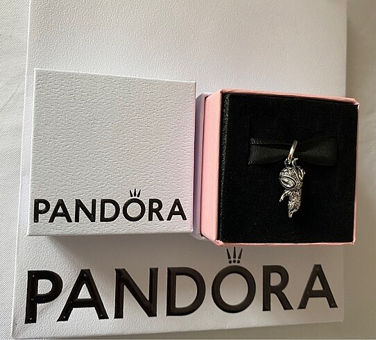 Pandora pandora charm