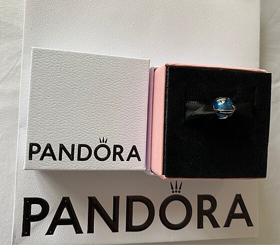Pandora pandora charm