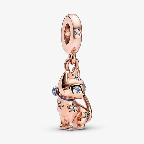 pandora charm