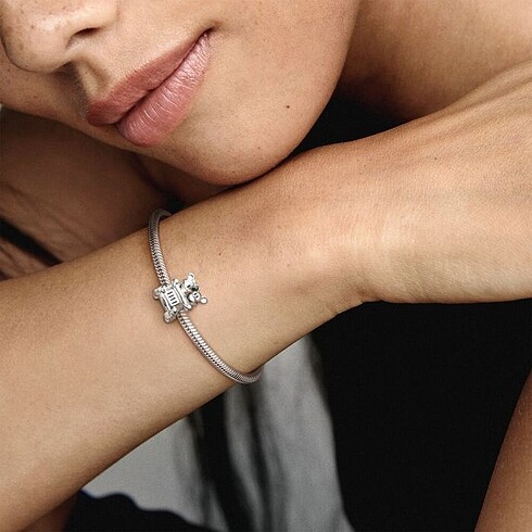Pandora pandora charm