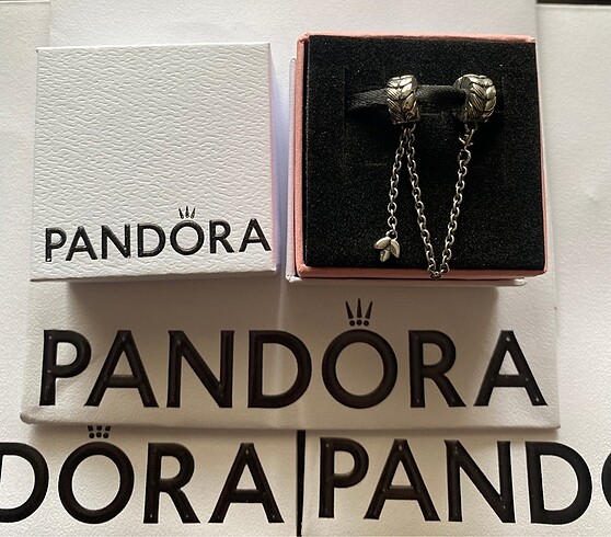 Pandora pandora charm