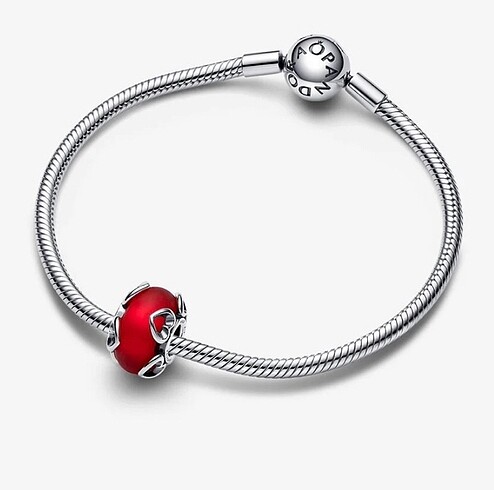 Pandora pandora charm