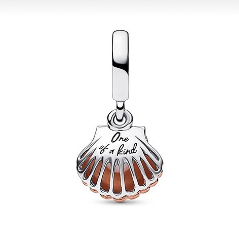 Pandora pandora charm