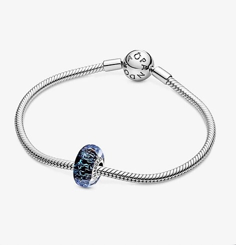 Pandora pandora charm