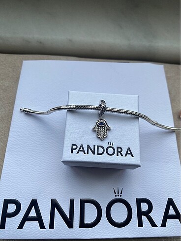 Pandora pandora charm