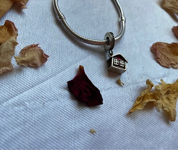Pandora pandora charm