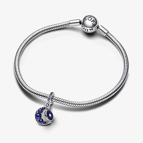 Pandora pandora charm