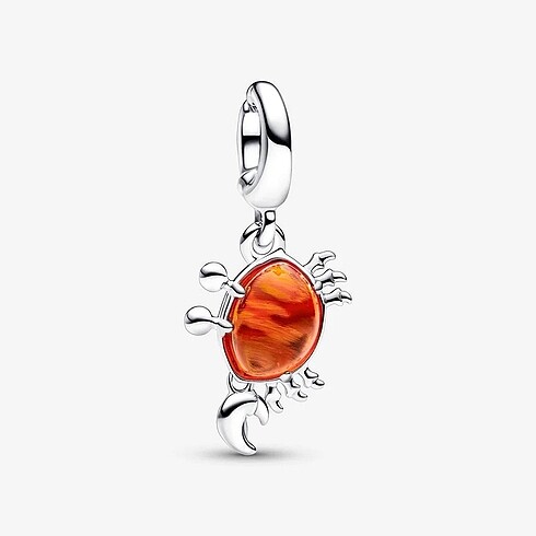 pandora charm