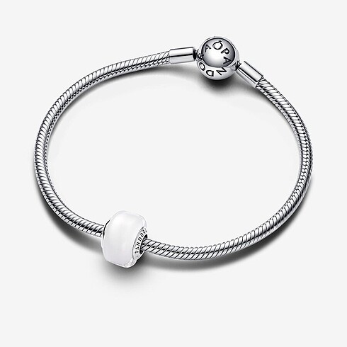  Beden çeşitli Renk pandora charm