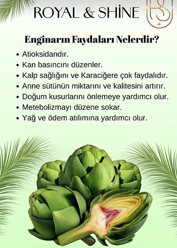 Royal & Shine Latte Yeşil Kahve Enginar 140g - Görsel 4