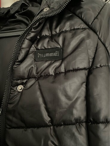Hummel Montt