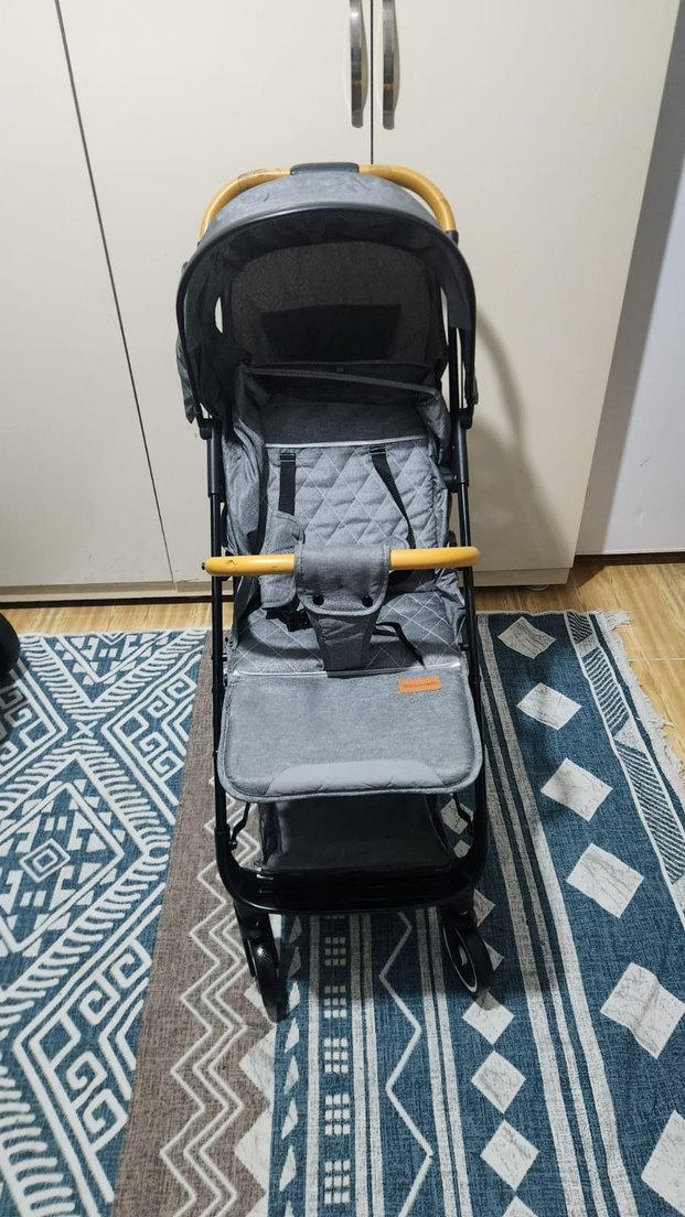 kabin boy bebek arabası - Görsel 2