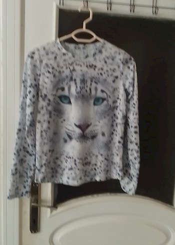 Gri Leopar Desenli Kedi Kıyafeti - Görsel 4