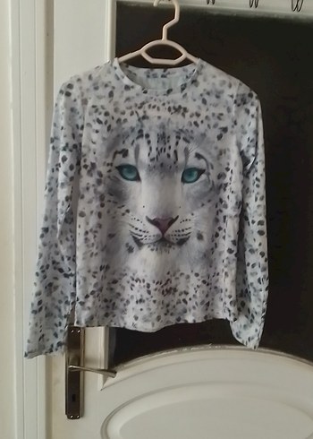 Gri Leopar Desenli Kedi Kıyafeti - Görsel 3