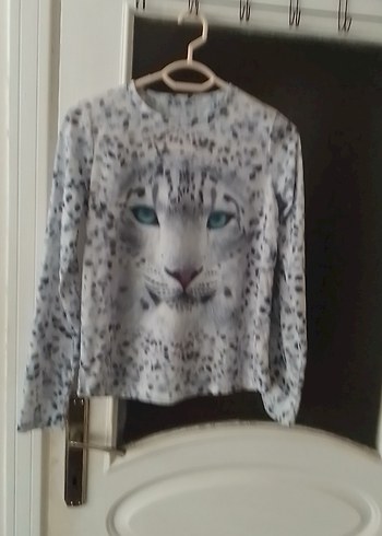 Gri Leopar Desenli Kedi Kıyafeti - Görsel 5