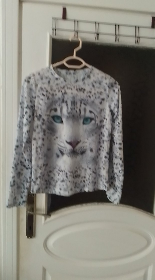 Gri Leopar Desenli Kedi Kıyafeti - Görsel 4