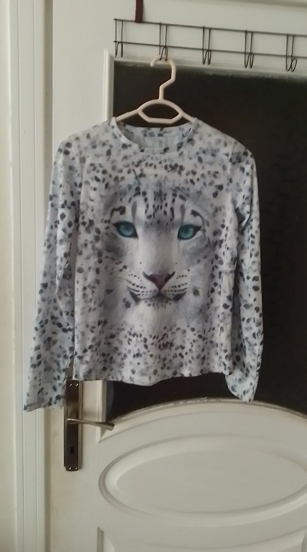 Gri Leopar Desenli Kedi Kıyafeti - Görsel 3