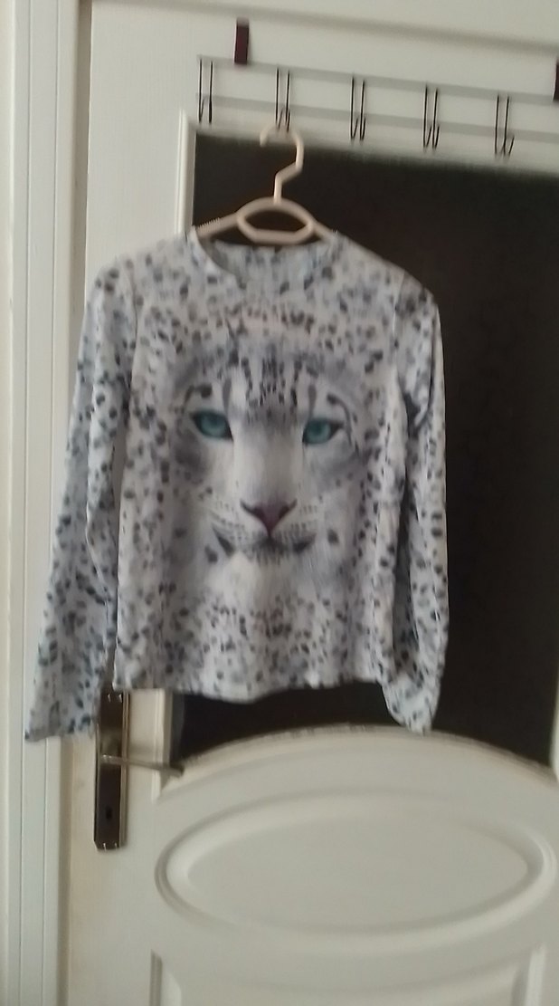 Gri Leopar Desenli Kedi Kıyafeti - Görsel 5