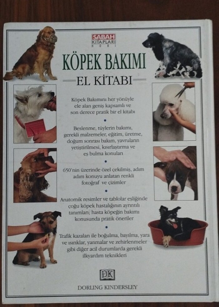 Köpek Bakımı - Görsel 2