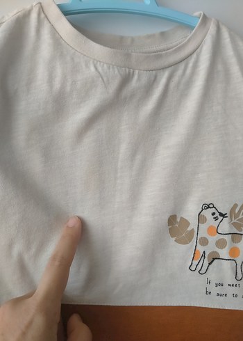 3 Yaş Beden kahverengi Renk Pamuklu Erkek Bebek Kısa Kollu Takım