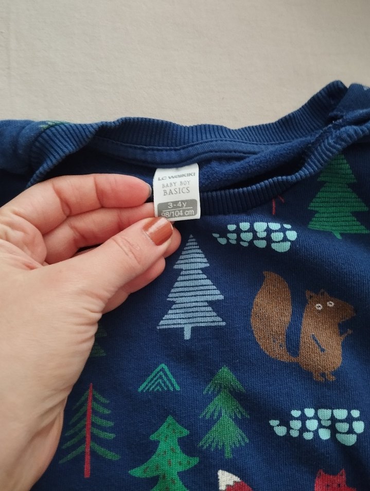 Erkek Çocuk Çok Renkli Sweatshirt Seti - Görsel 3