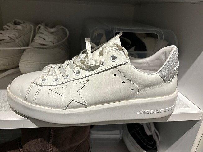 Golden goose