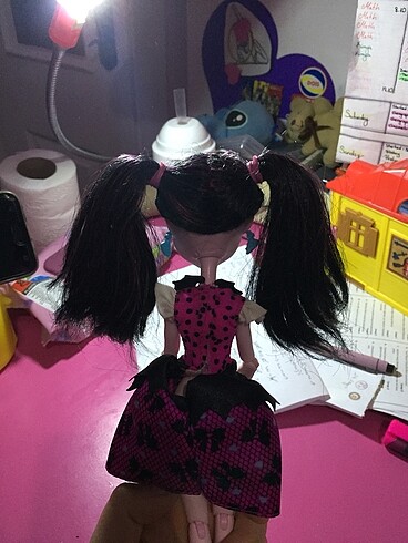 Beden Renk Monster high (draculara ) & barbie bebekler