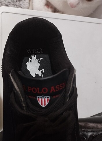 U.S Polo Assn. Kadın ayakkabı