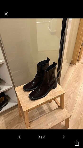 Zara bordo bot