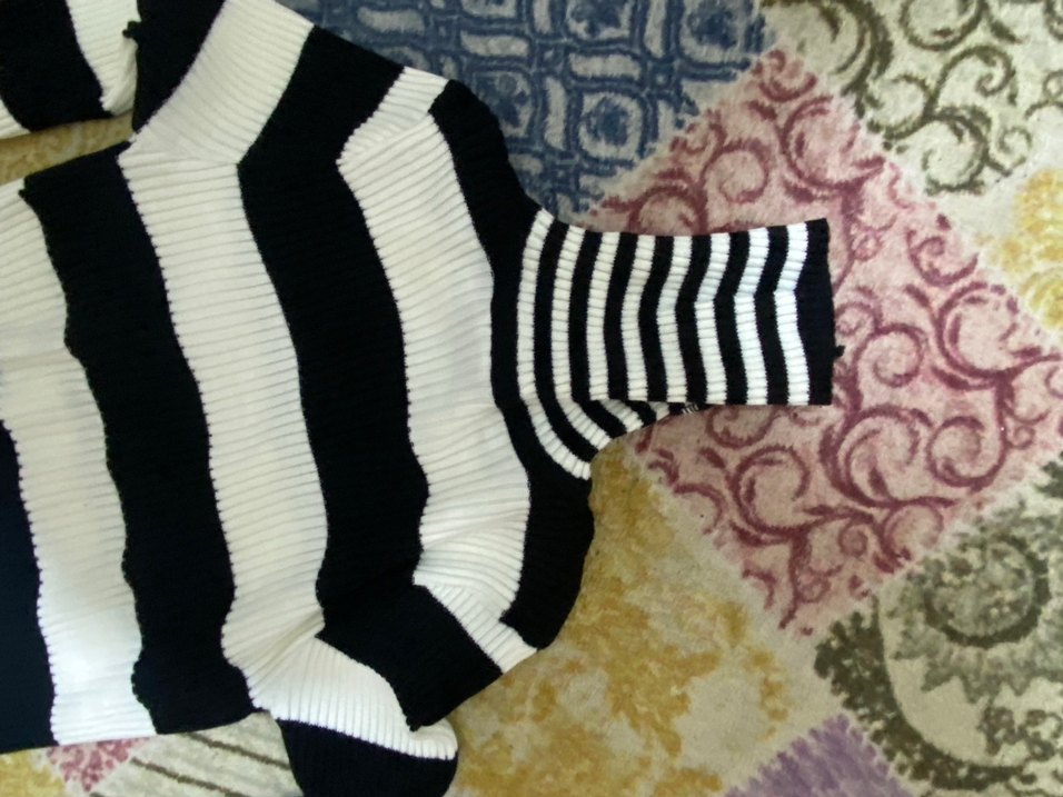 Zebra Desenli Uzun Kollu Balıkçı Yaka Triko - Görsel 2