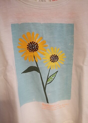 4 Yaş Beden beyaz Renk Zara kız çocuk tshirt