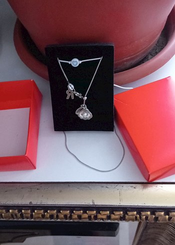 gümüş Zincir Detaylı Kadın Kolye - Görsel 4