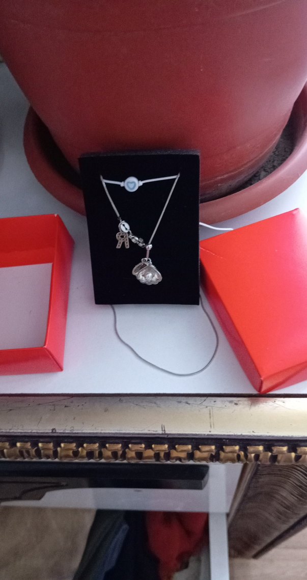 gümüş Zincir Detaylı Kadın Kolye - Görsel 4